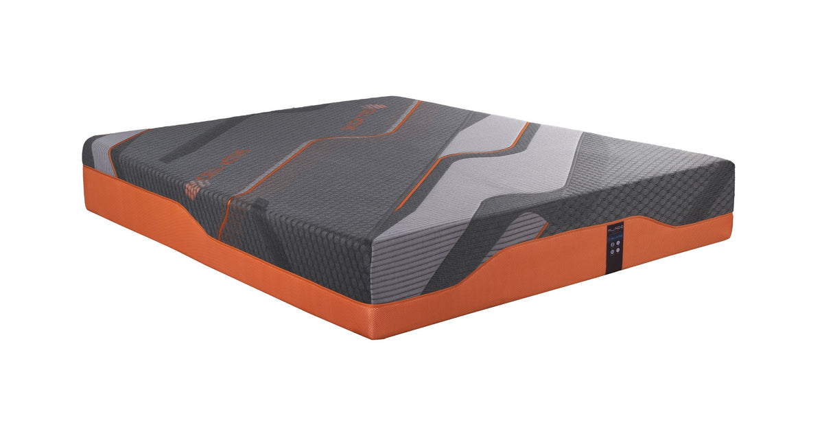 CELL ACTIVE -ORANGE - Mundo Bedding