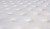 Prime Lime - Mundo Bedding