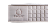 Laurel- The Natural Dream TT