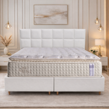 Bio Luxe PT - BASE & HEADBOARD